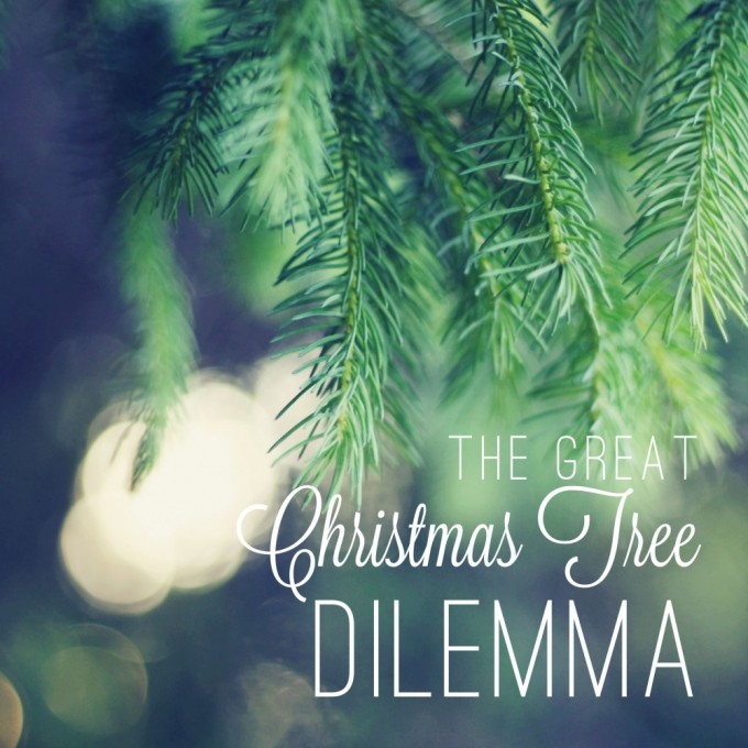 christmas tree dilemma badge