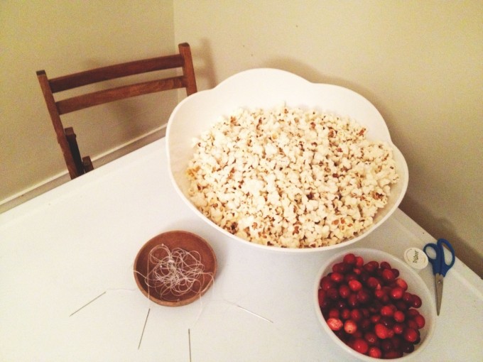 cranberry popcorn