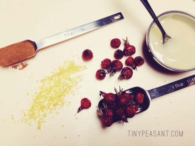 elderberry syrup ingredients