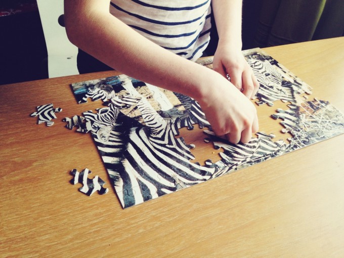 zebra puzzle