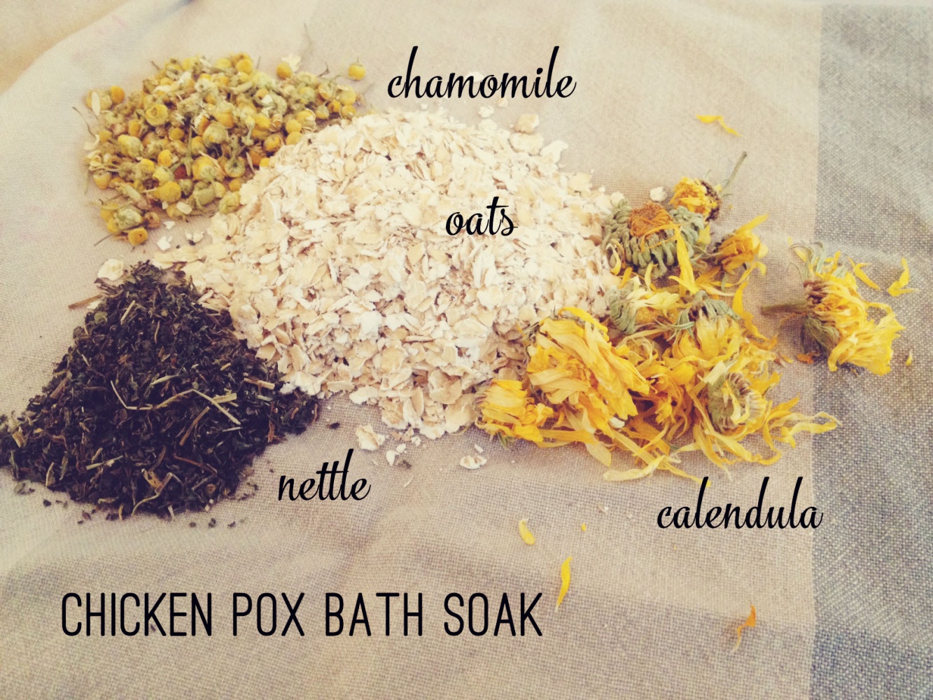 Chicken Pox + Healing Herbs – Tiny Peasant