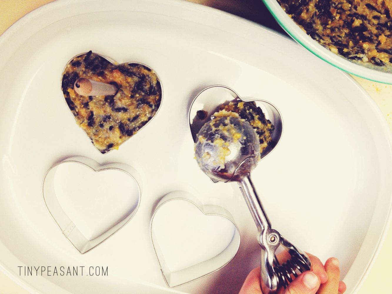 Coconut Oil Bird Feeders Tiny Peasant