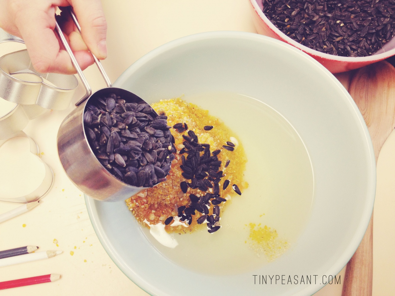 Coconut Oil Bird Feeders Tiny Peasant