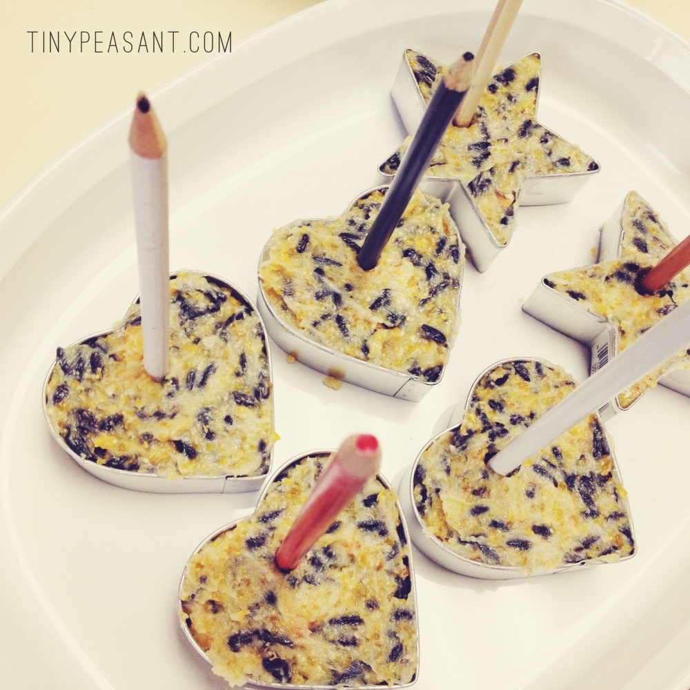 Coconut Oil Bird Feeders Tiny Peasant