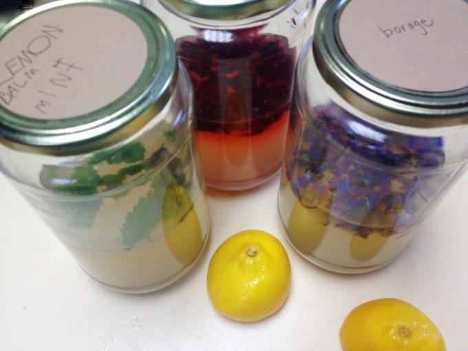 tp lemonade herbal jars