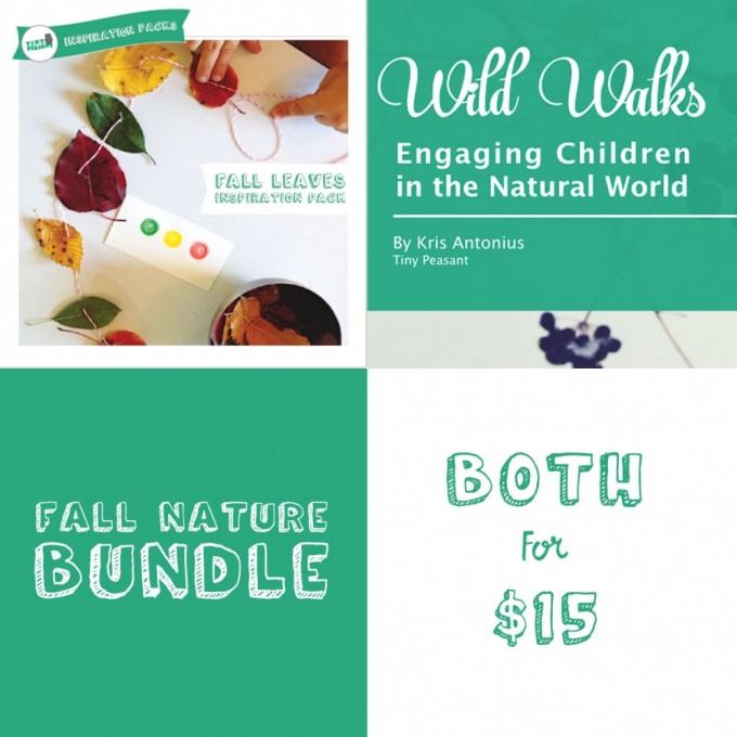 Fall Nature Bundle