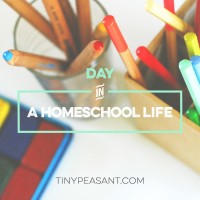 TP-Day-in-a-Homeschool-Life-Art