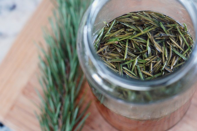 TP pine needle tea 2