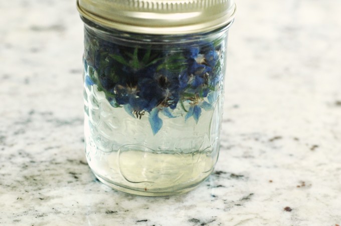 tp-borage-simple-syrup-water